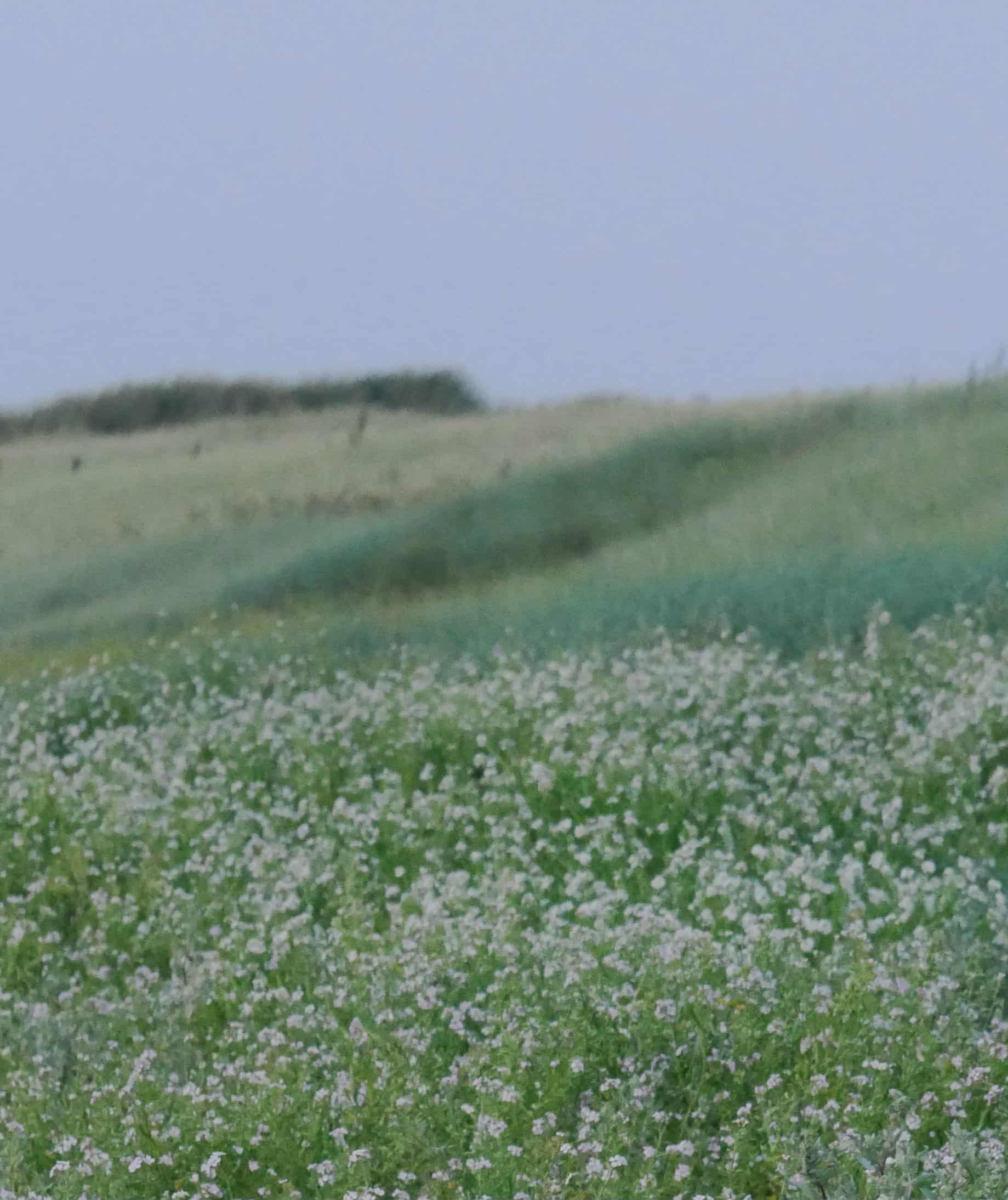 projet design graphique