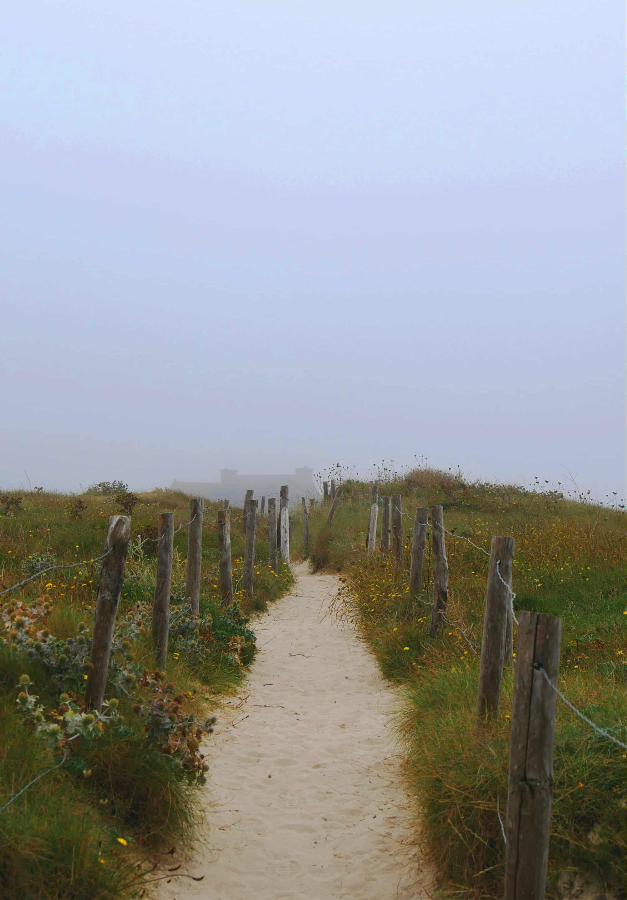 projet design graphique