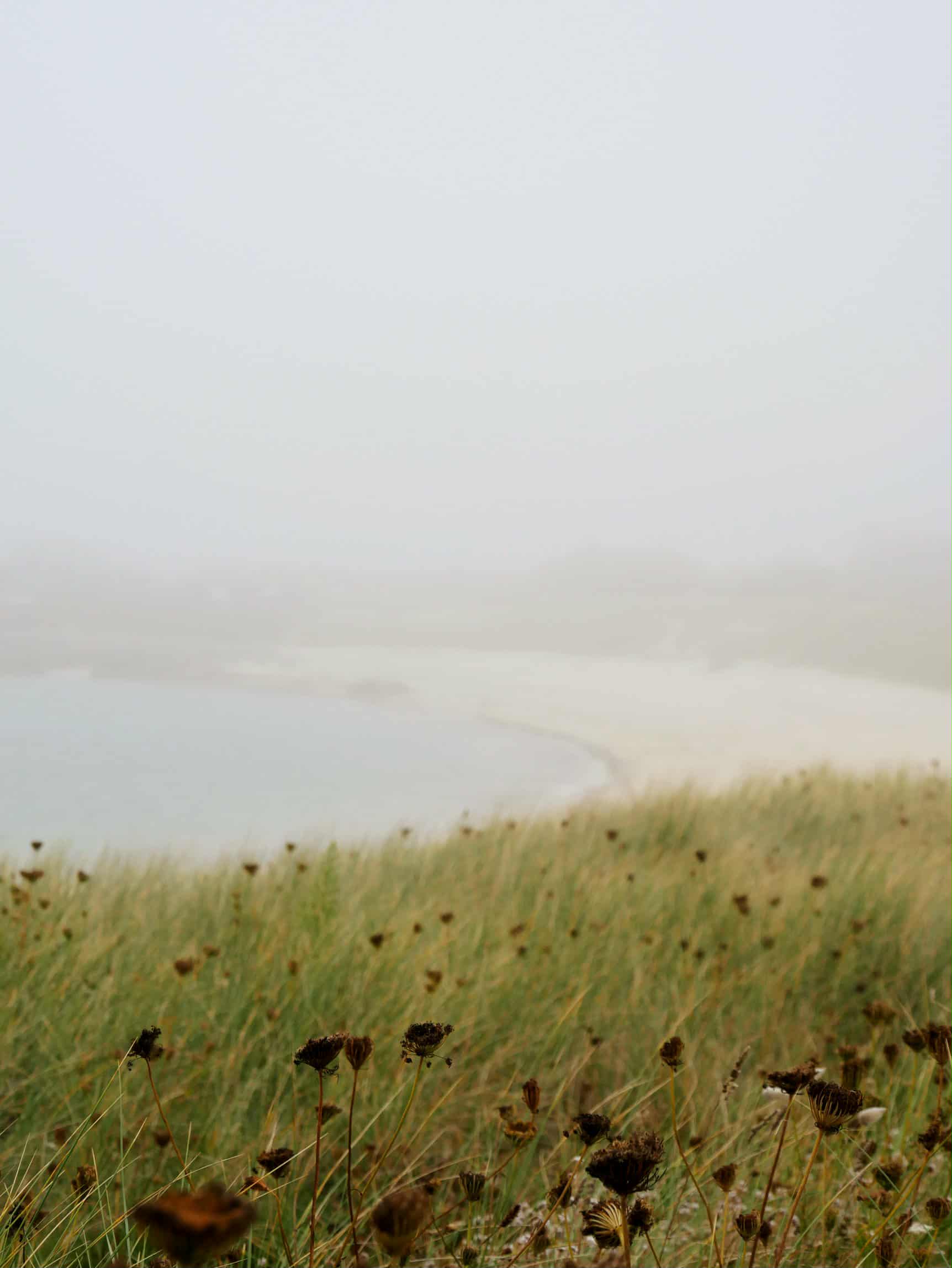 projet design graphique