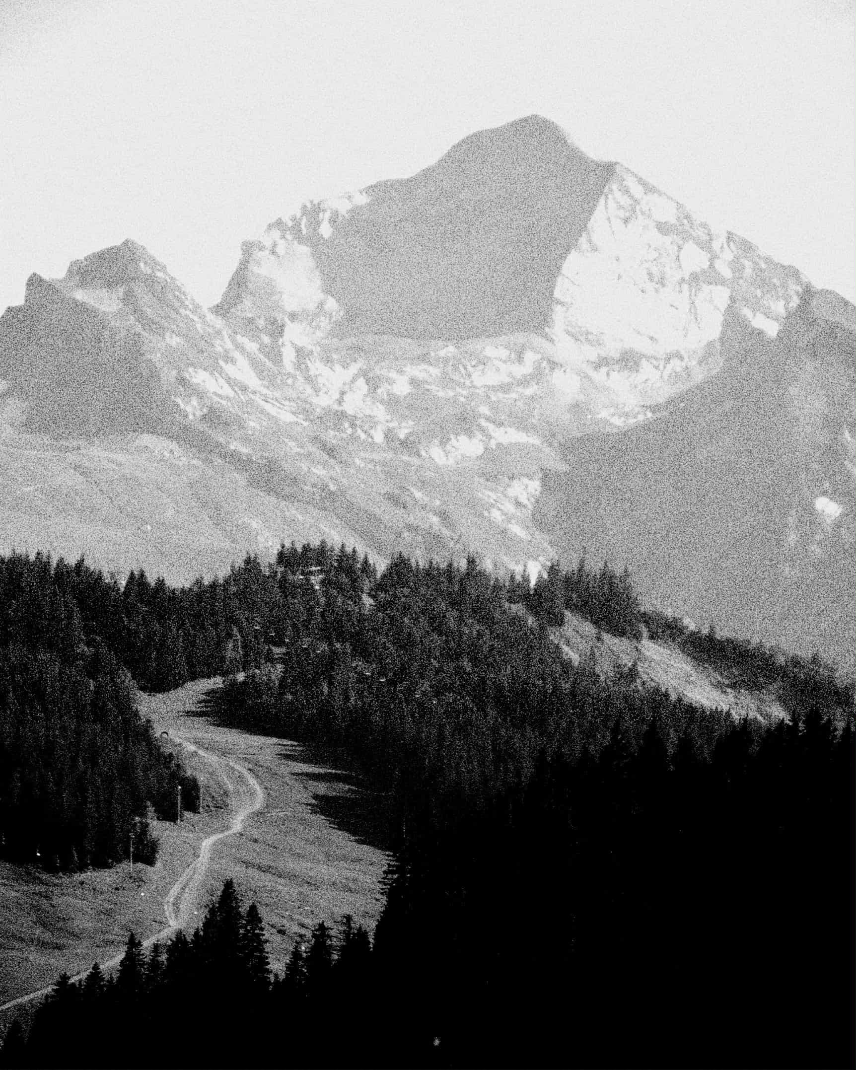 projet design graphique