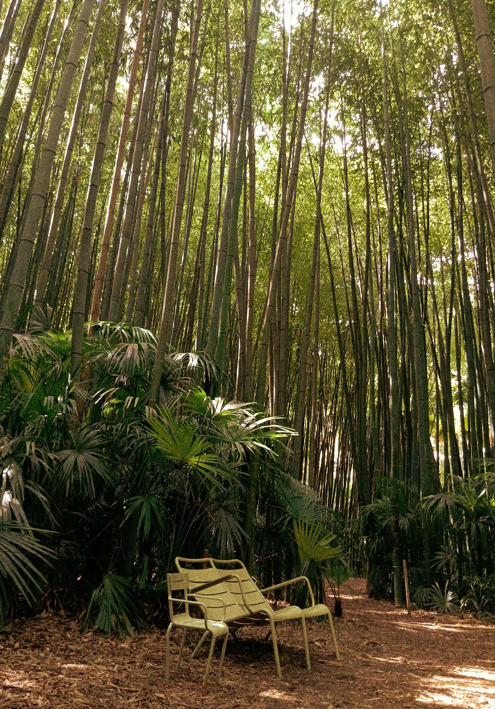 projet design graphique