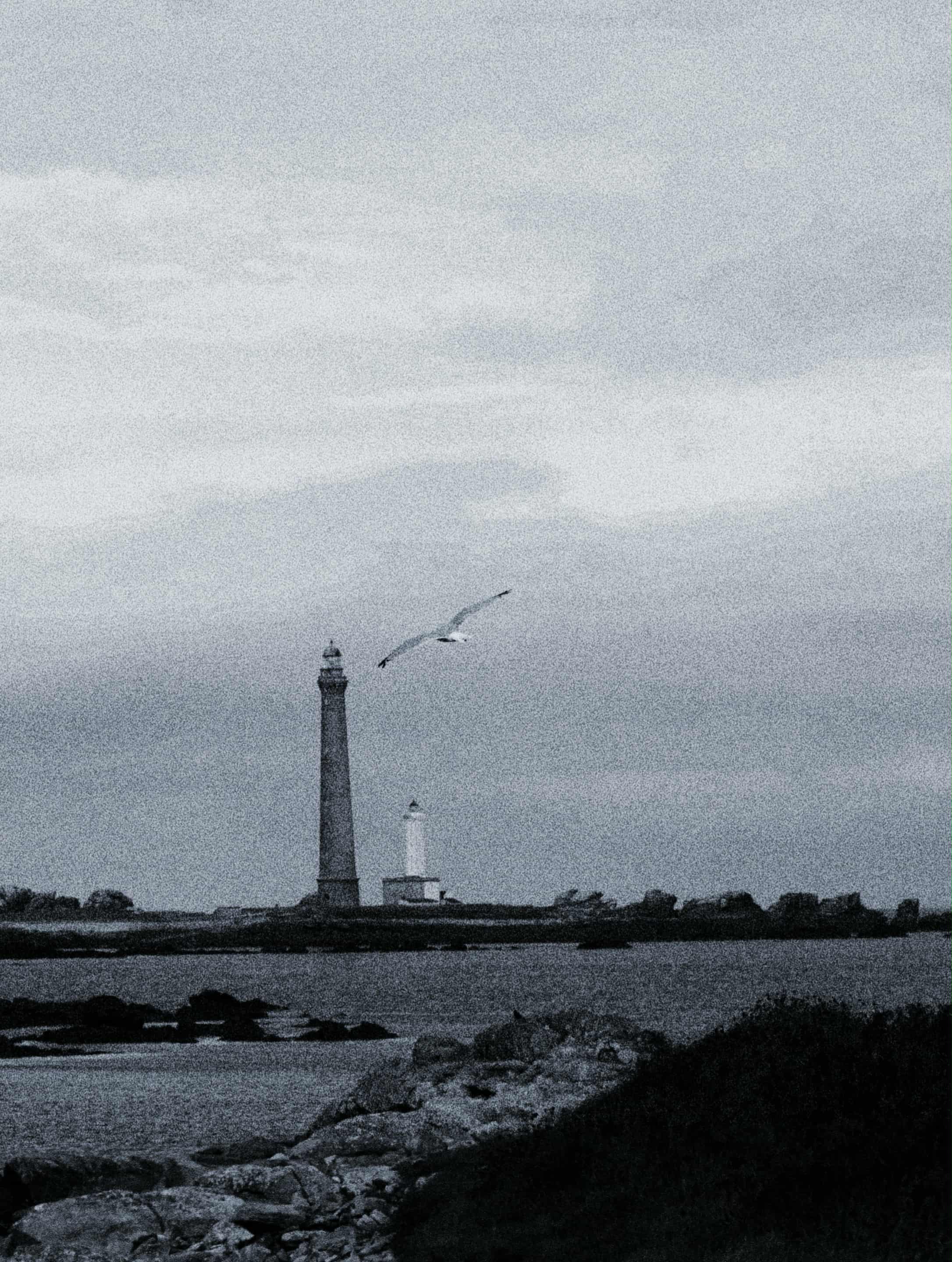 projet design graphique