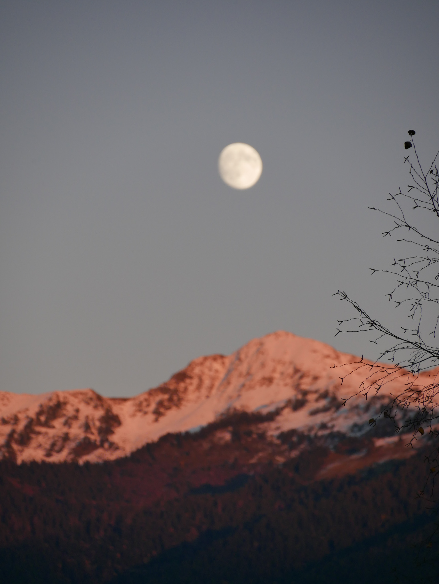 projet design graphique