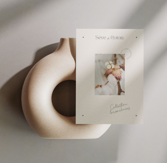 Sève de coton logotype